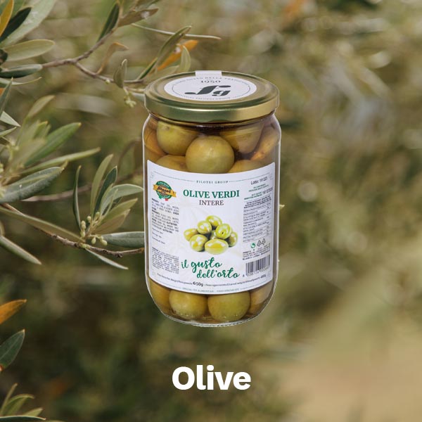 olive filotei group